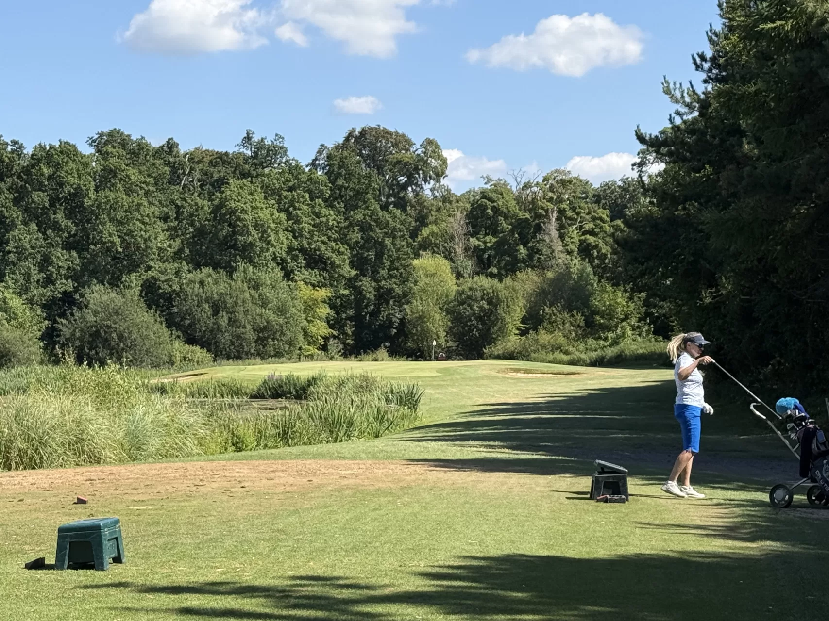 Palmerstown House Golf Club