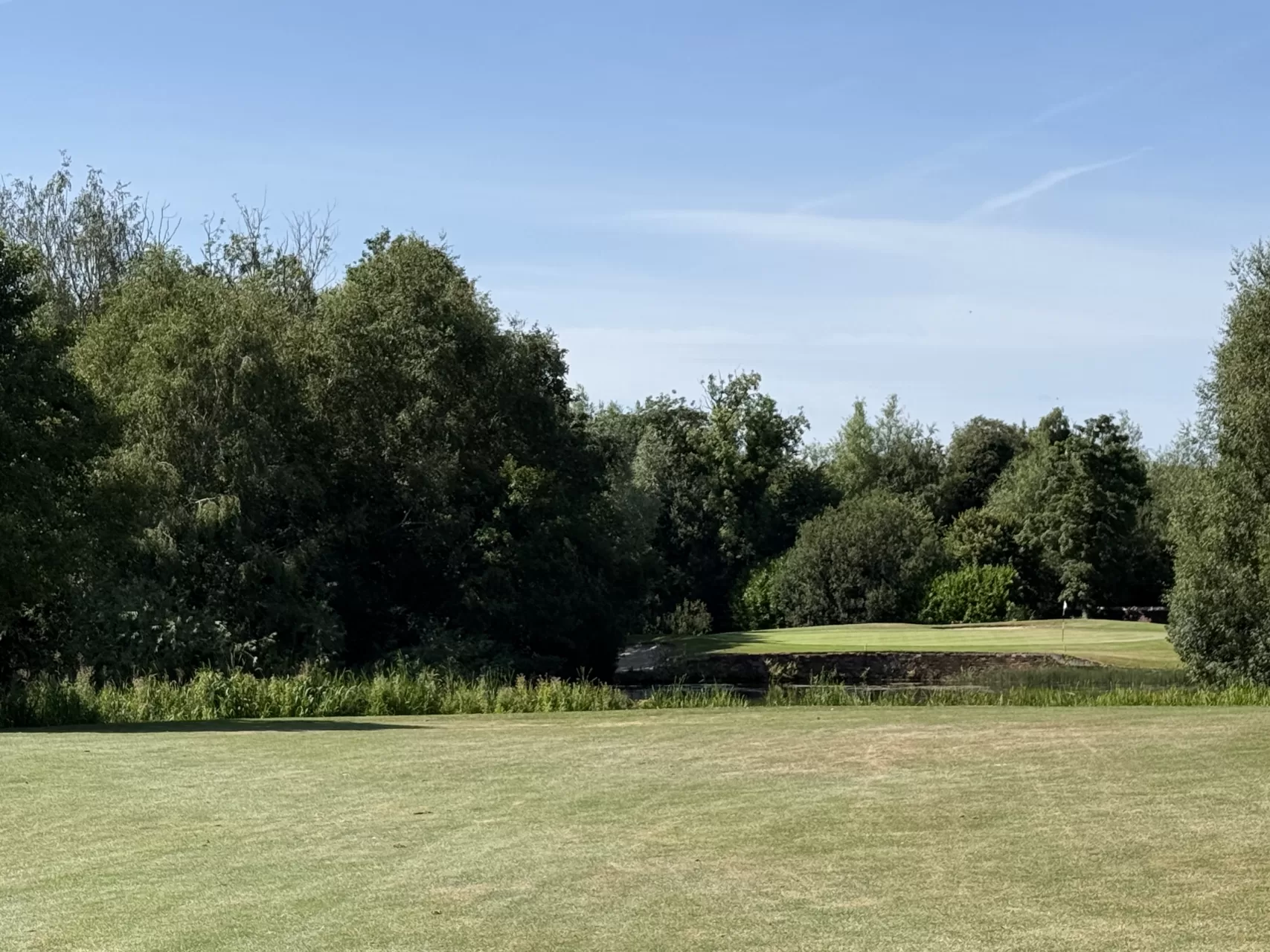 Besser Golf spielen beginnt nicht mit einem neuen Driver