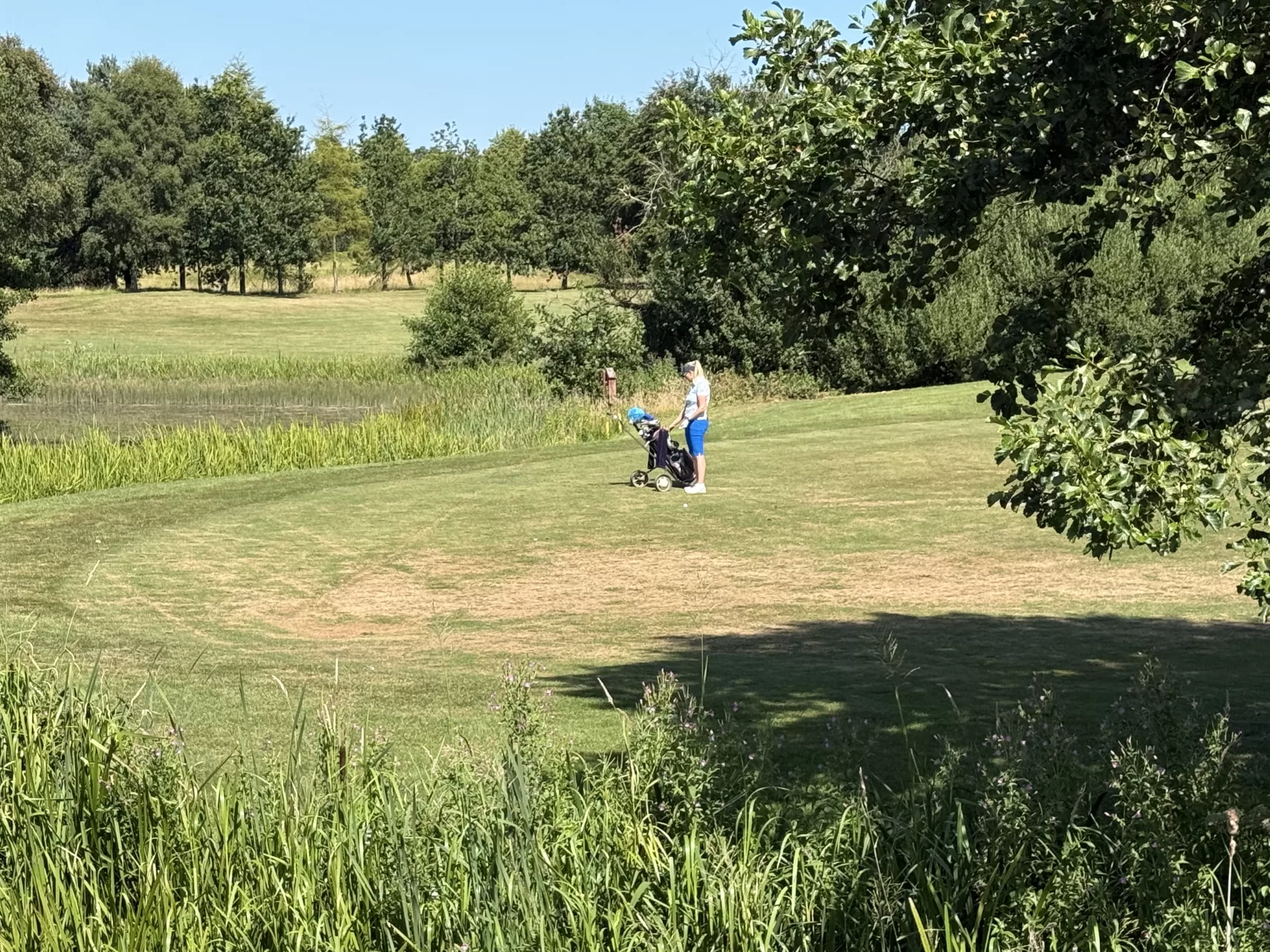 Palmerstown House Golf Club