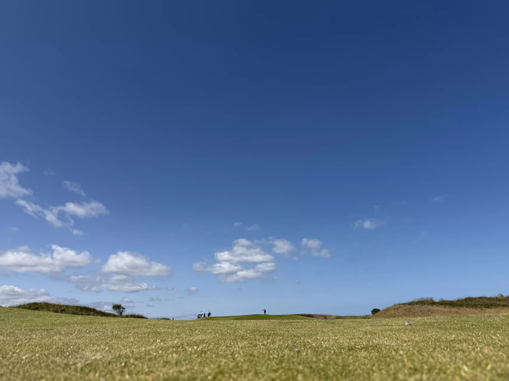 Jameson Golf Links - Portmarnock Resort